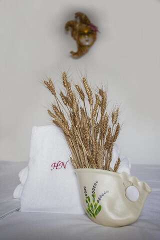 Отель Hotel Nova Residence Бухарест Двухместный номер с 2 отдельными кроватями-12